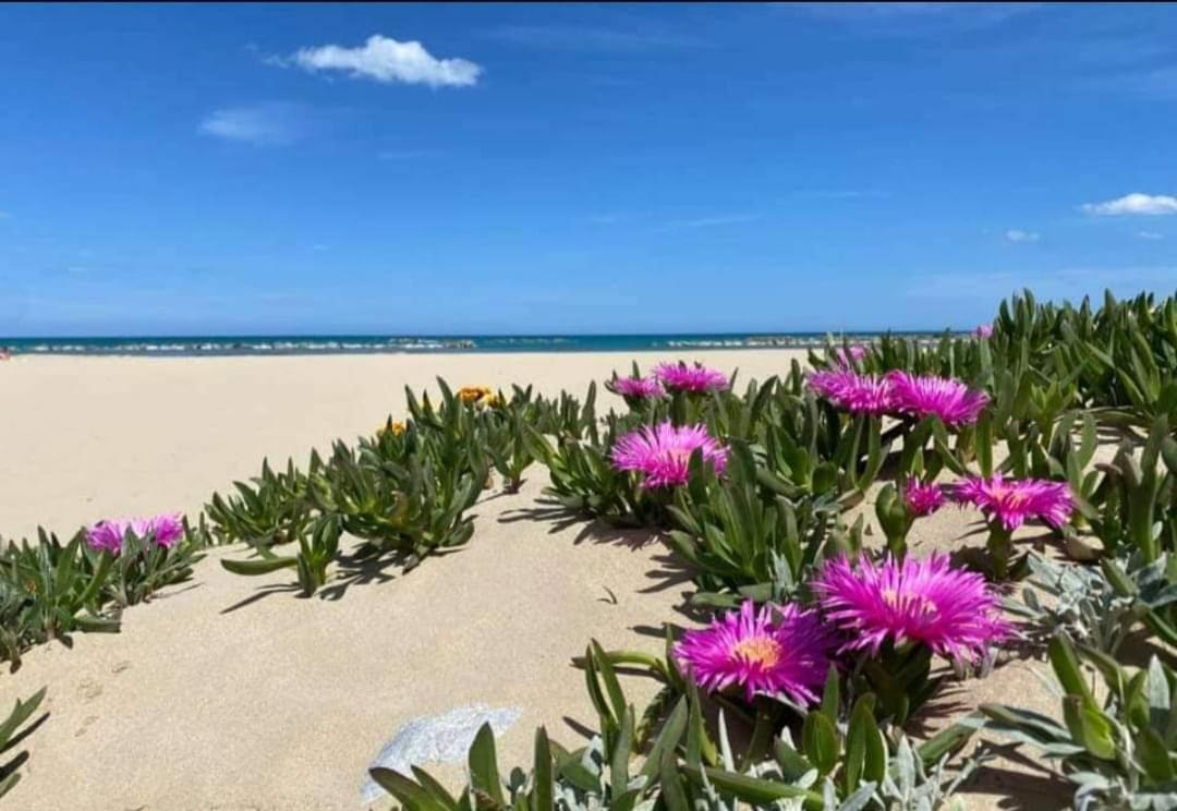 Marea Il Tuo Angolo Di Paradiso In Sicilia Ti Aspetta Prenota Ora E Vivi La Magia Del Mediterraneo Alcamo Marina Ngoại thất bức ảnh